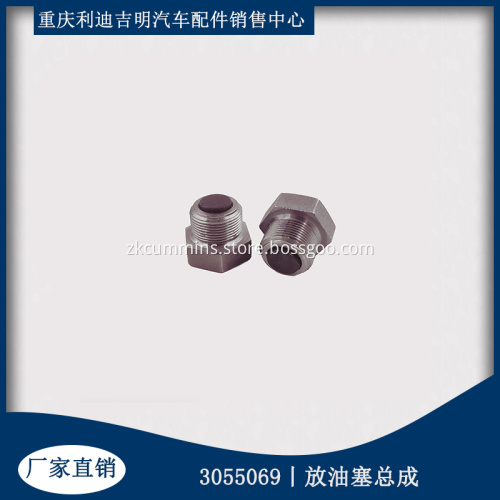 Diesel engine spare part Pipe Plug 3055069